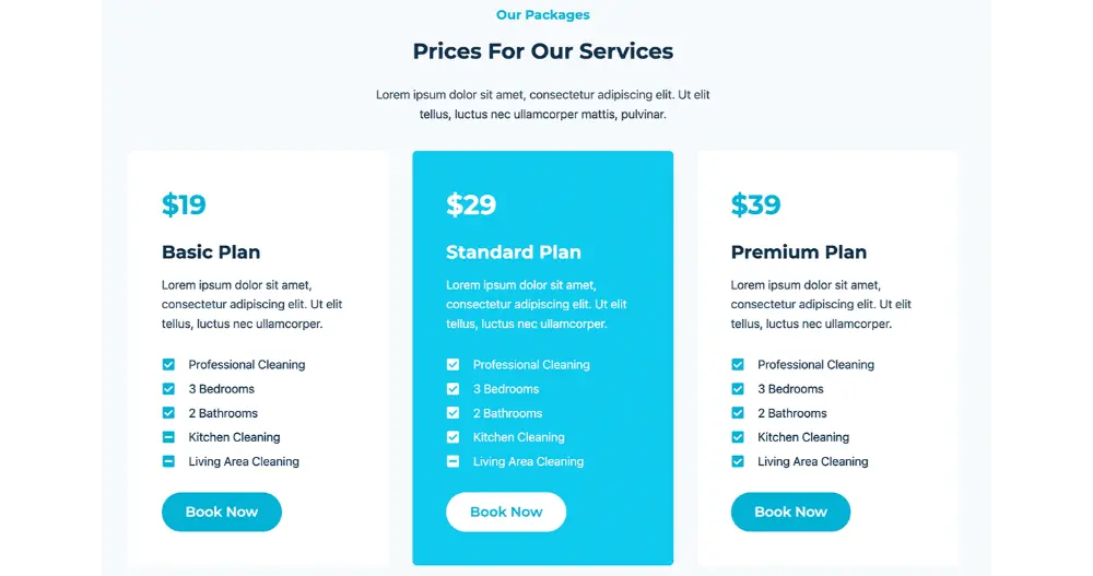 Cleaning Service Website Prices