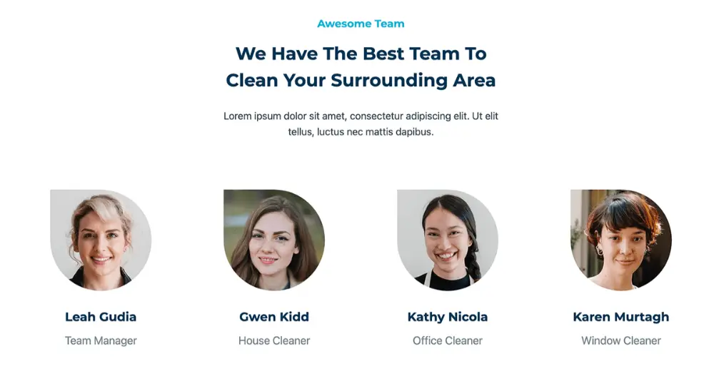 Cleaning Service Website Team