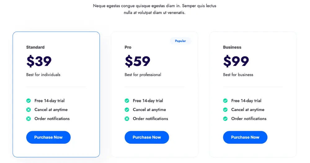 Digital Agency Website Pricing