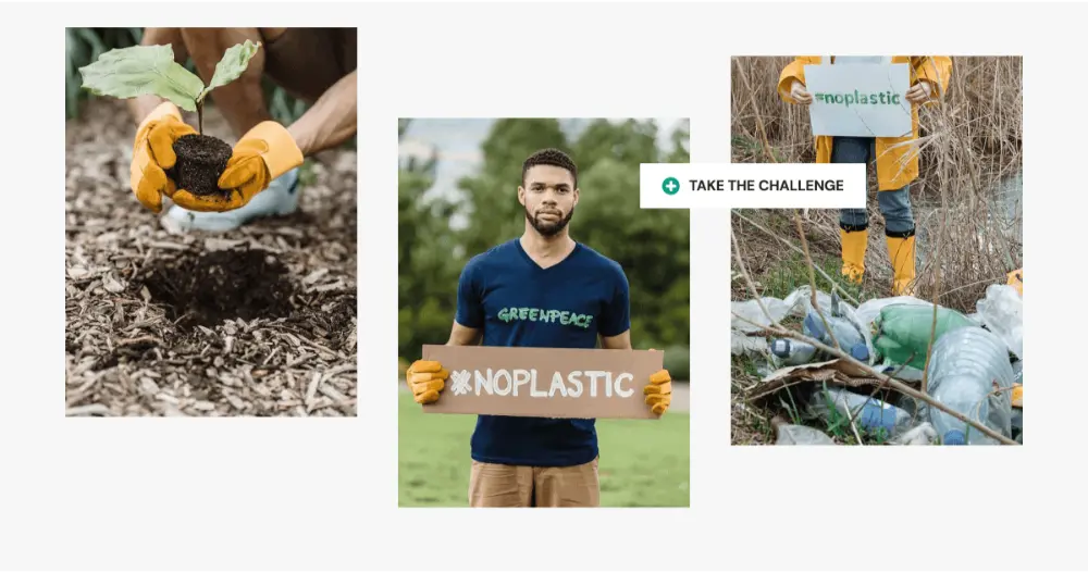 Eco Friendly Images