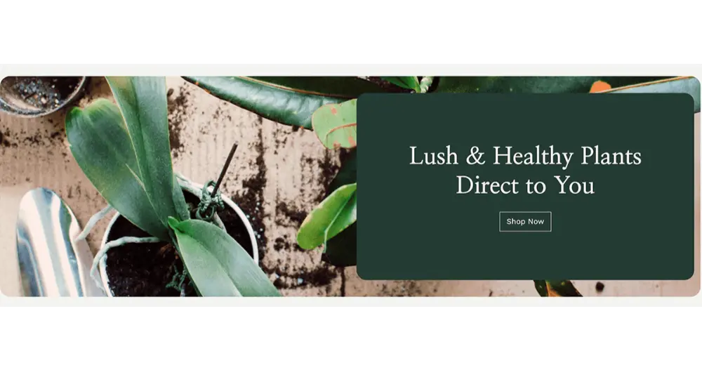 Green Thumb Gardening and Plants Website Hero Image