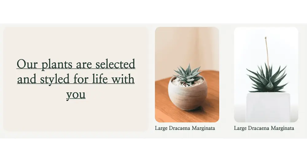 Green Thumb Gardening and Plants Website Section