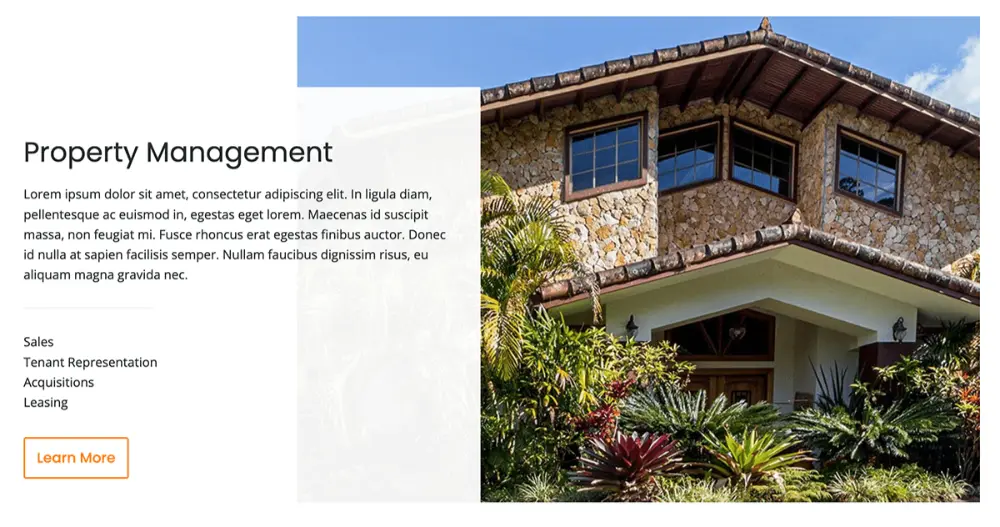 Home Website Section