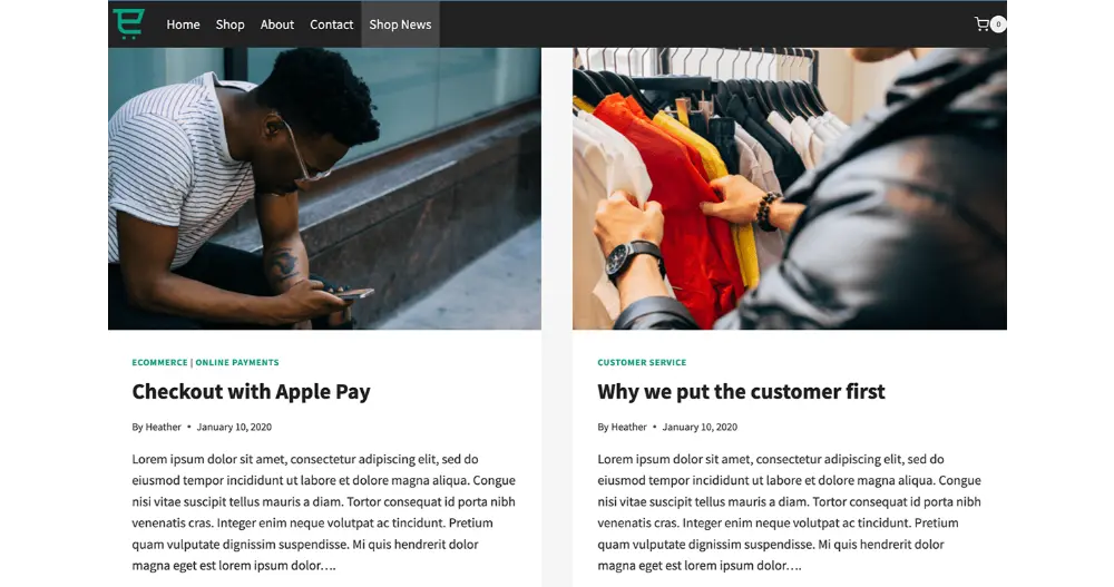 Retail Website Terms