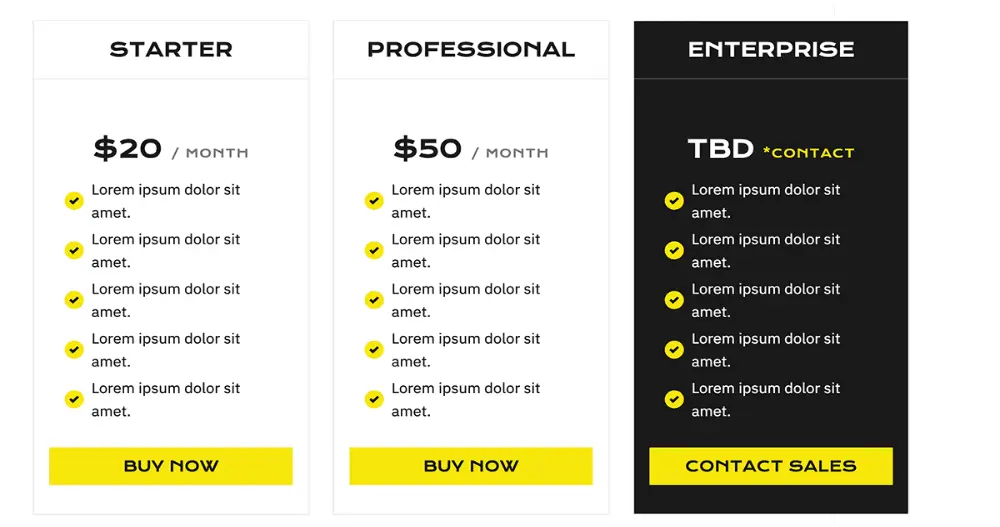 SEO Skills Website Template Pricing