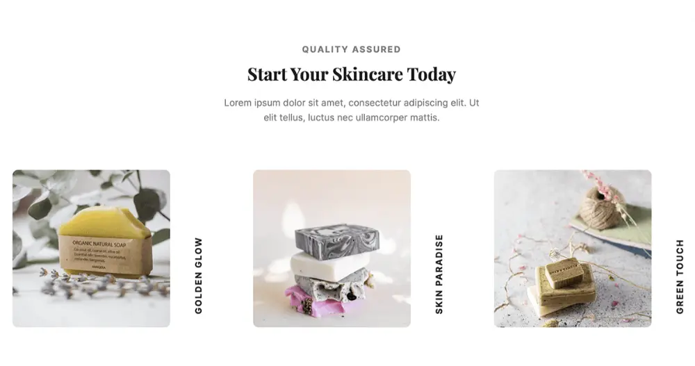 Craft Website Products