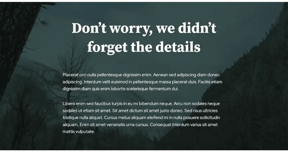 Travel Experience Website Content
