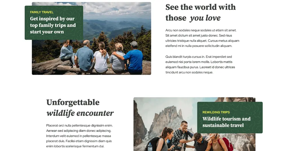 Travel Experience Website Section