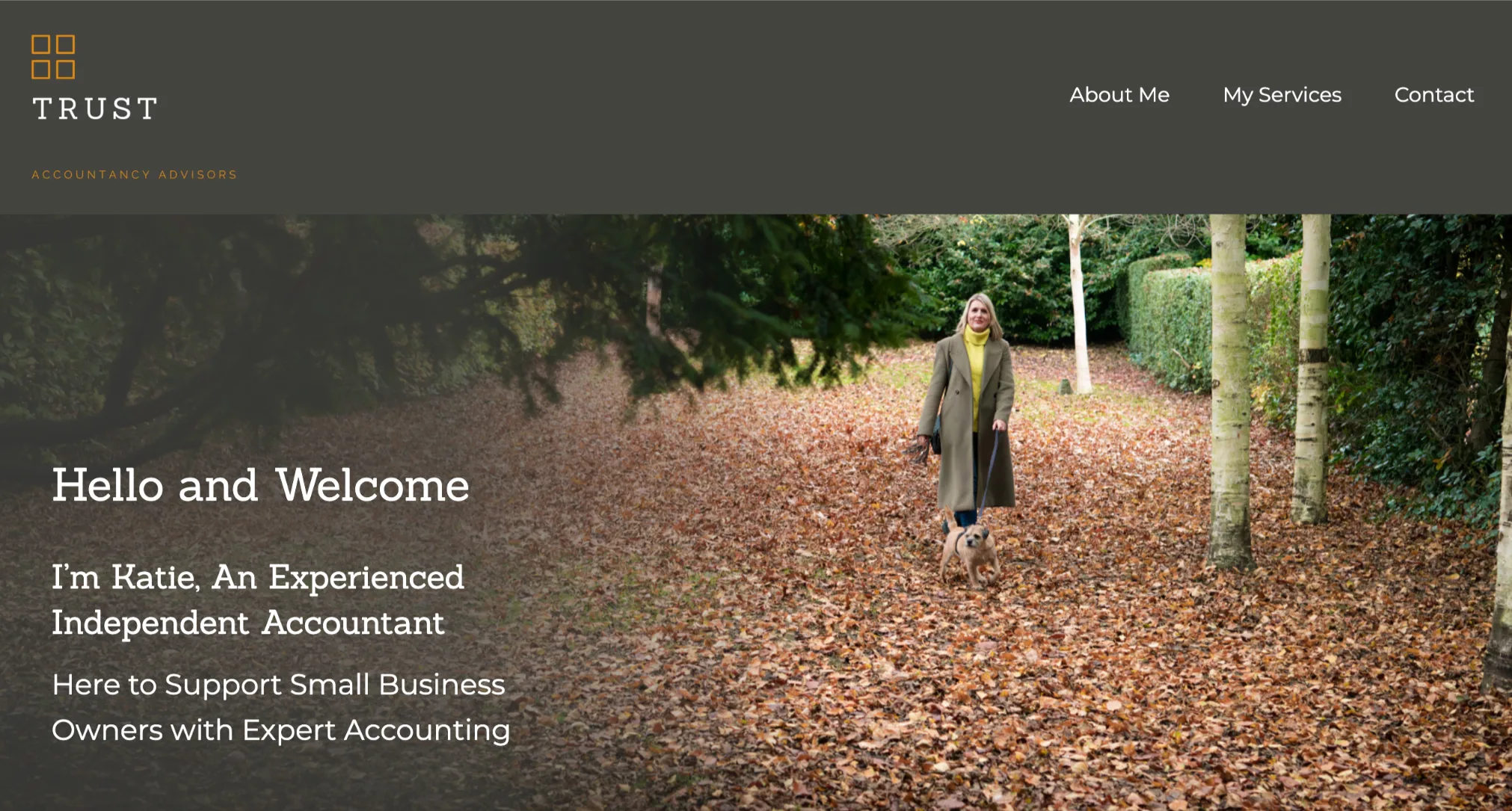 Trust Accountancy Advisors